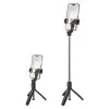 Selfie stick Borofone BY13 Nube live broadcast holder [Black]